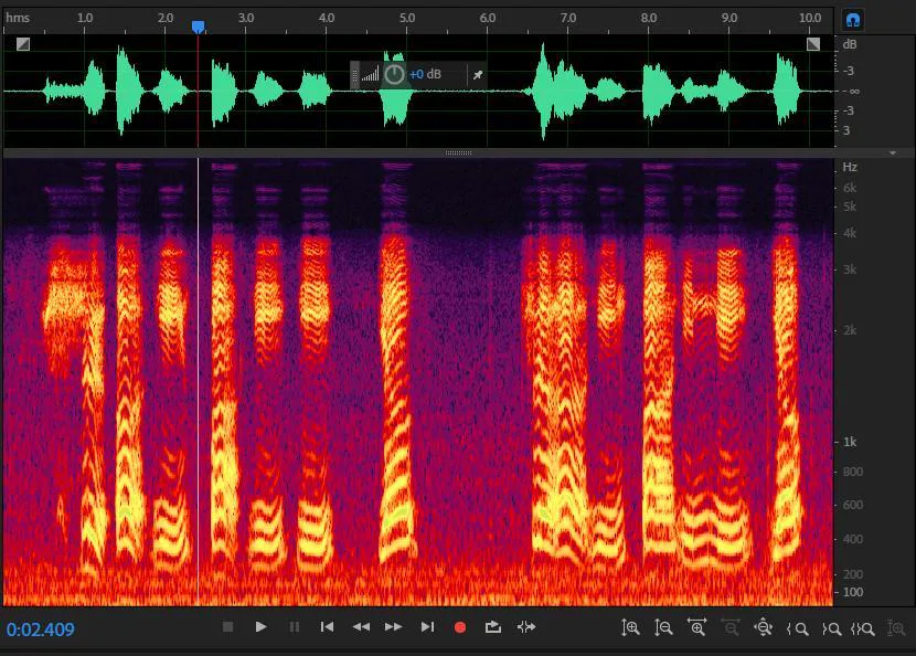 Waveform and spectrogram view illustrating acoustic observations